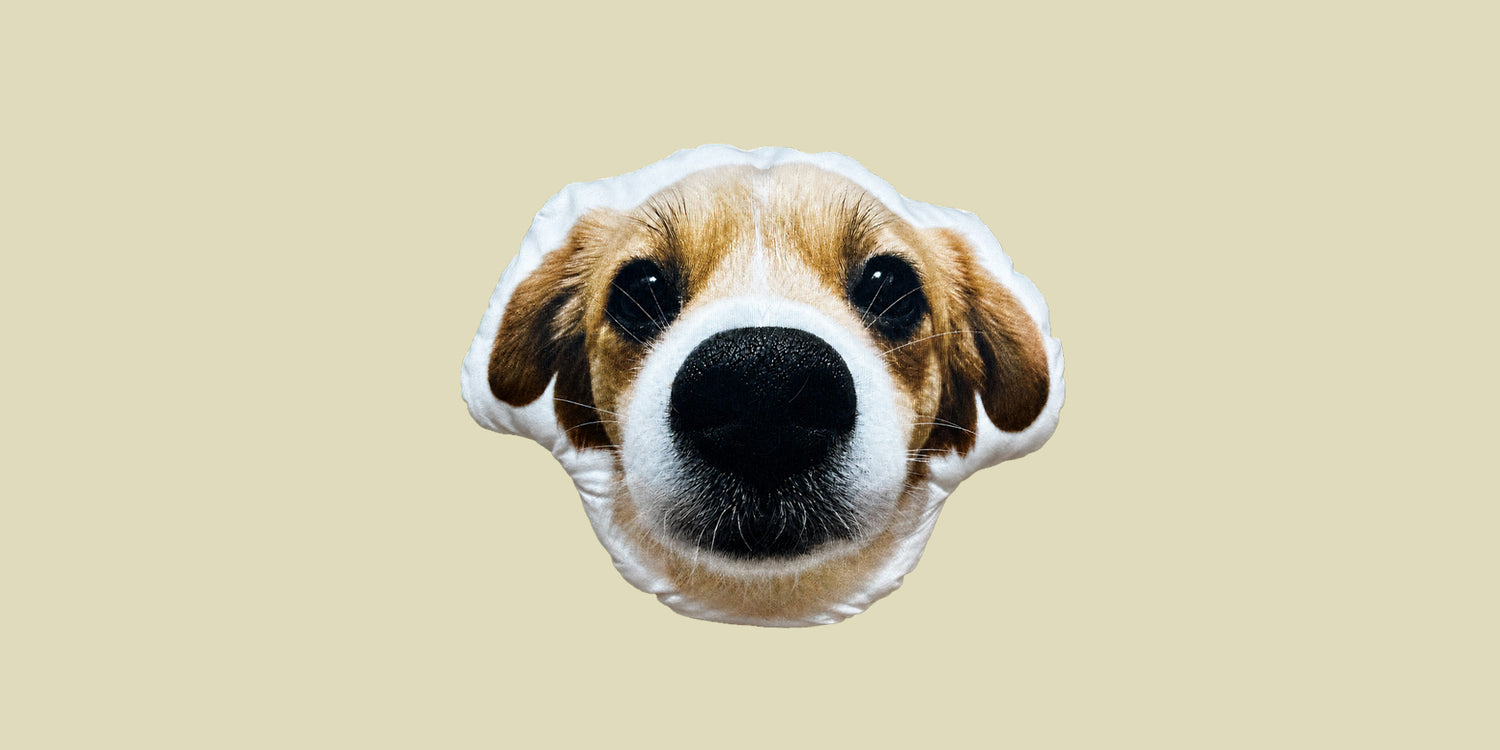 Your keepsake — personalized pet keepsake