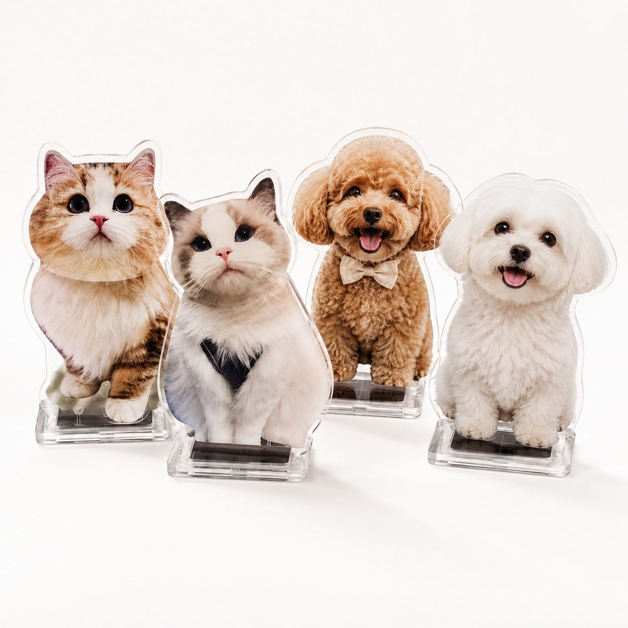 Personalized Solar-Powered Pet Bobble Figurine – Custom Acrylic Pet Photo Desk Ornament