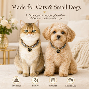 Decorative Faux Pearl Pet Necklace for Cats & Small Dogs – Adjustable Lightweight Pet Jewelry
